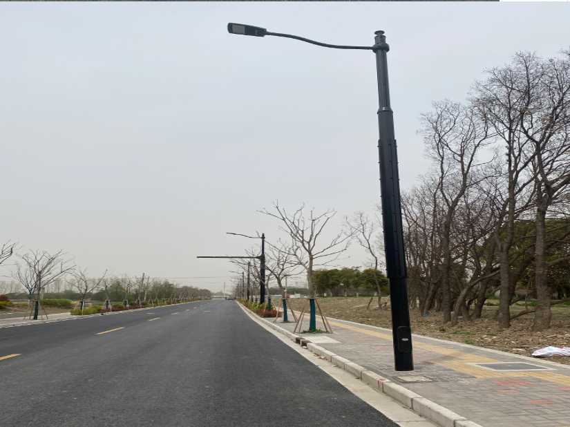 宁德市上海综合杆 太阳能路灯工程